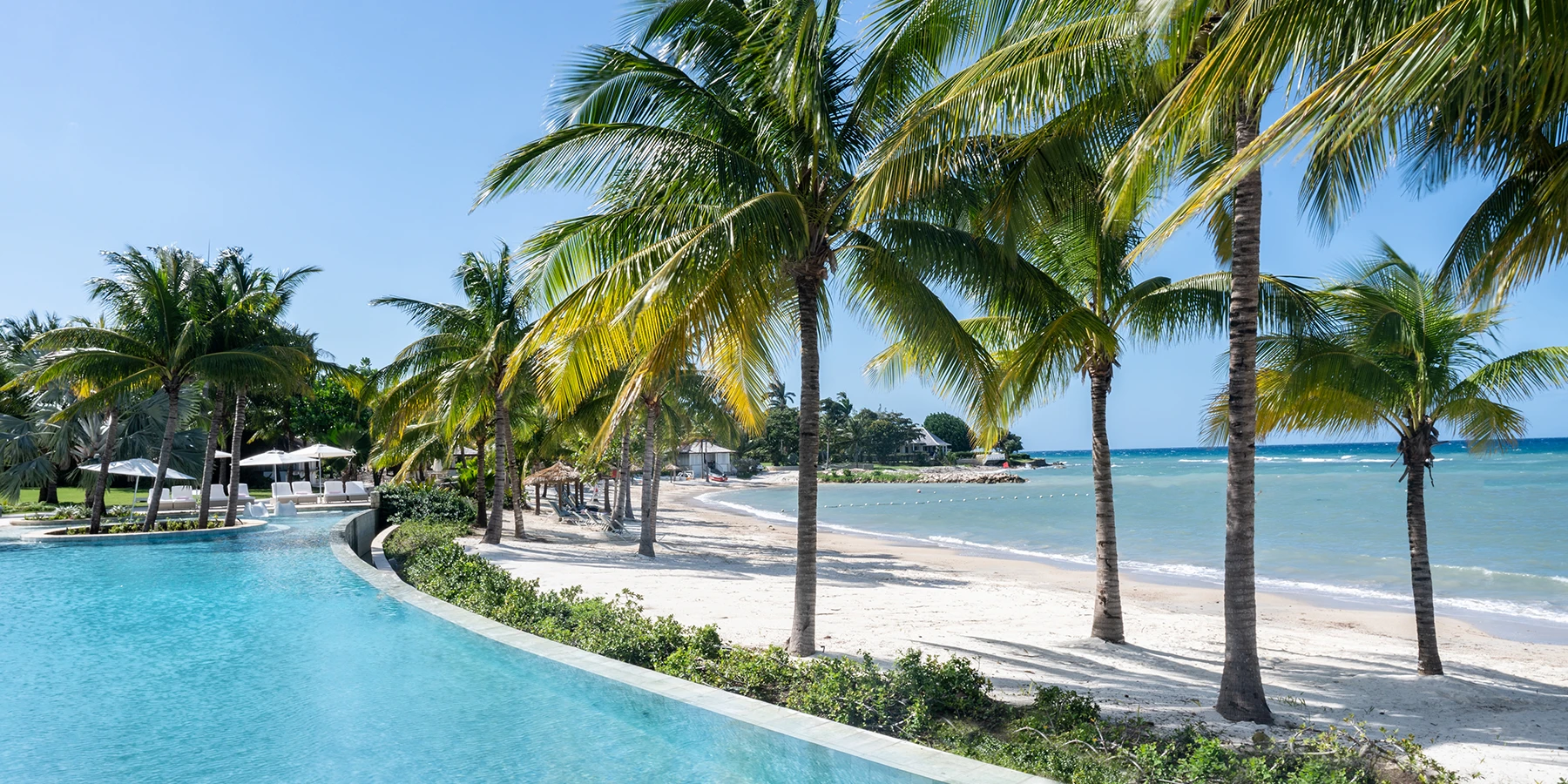 Loungers and palms at the Beach Club